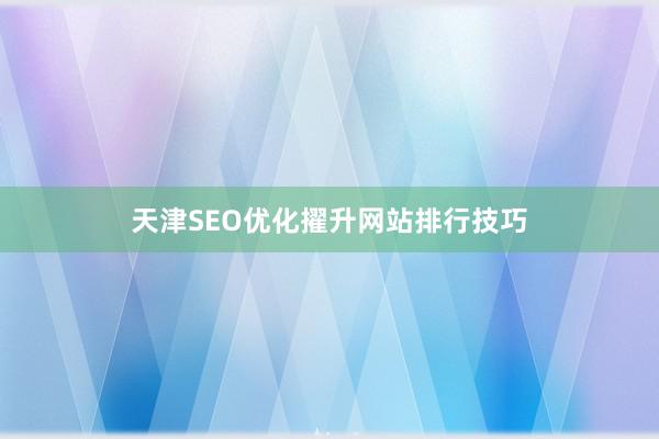 天津SEO优化擢升网站排行技巧