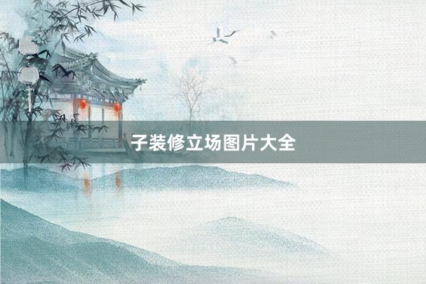 子装修立场图片大全